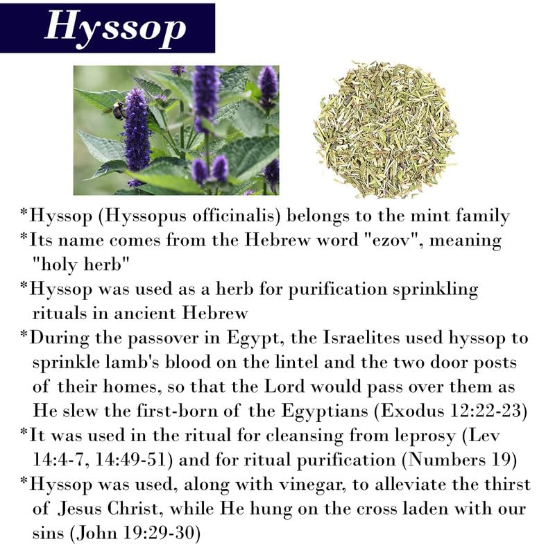 Miniatura 2 de Cleanse Me with Hyssop and I Shall Be Clean Hyssop Natural Jasmine Soap Bar -1 Barra de jabón