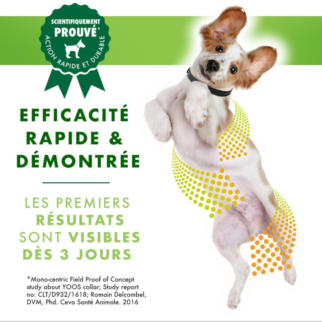 Ceva Yoos Confort Articulaire et Mobilité Collier (70cm) Taille m/l Chien >10kg