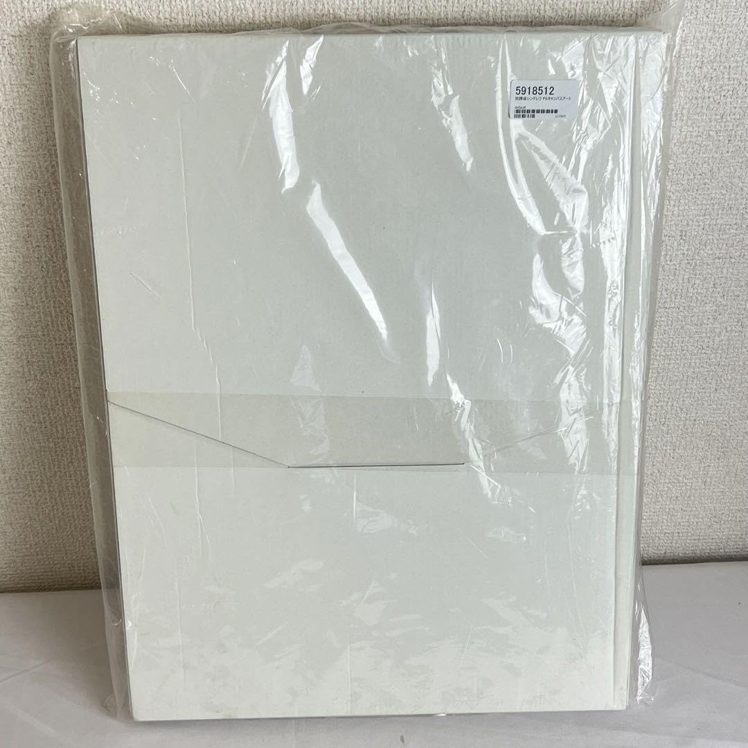 放課後シンデレラ F6キャンバスアート 田寄多乃実 長南 陽佳