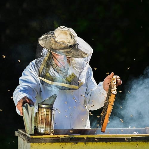 Miniatura 5 de Blisstime Bee Hive Smoker de acero inoxidable con equipo de apicultura de escudo térmico