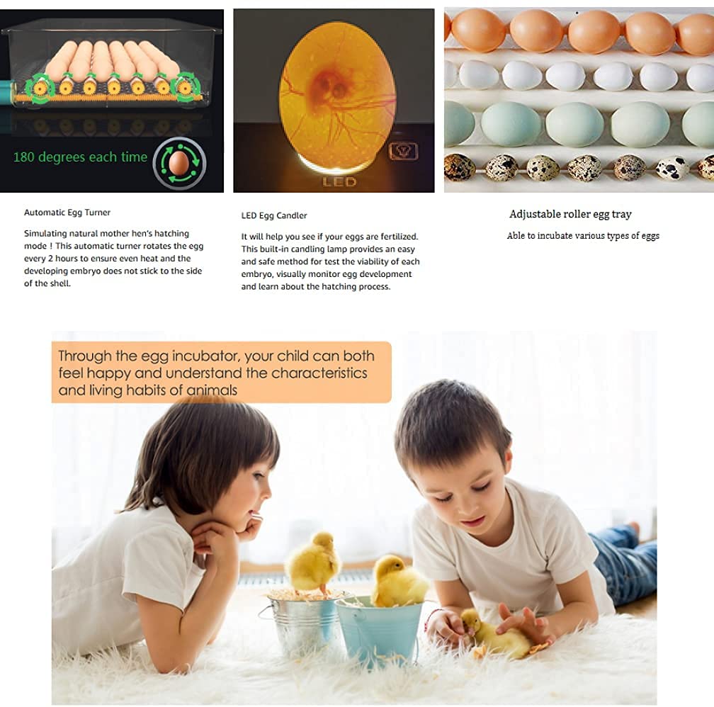 Incubadora automática de huevos con control de temperatura y humedad para pollos, pavos y codornices