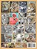 Animal Portraits: 48-Page Coloring Book in Greyscale for Adults. Animals in a different setting is the theme for this book. There are beautiful ... If you love animals, then this is your book. #1