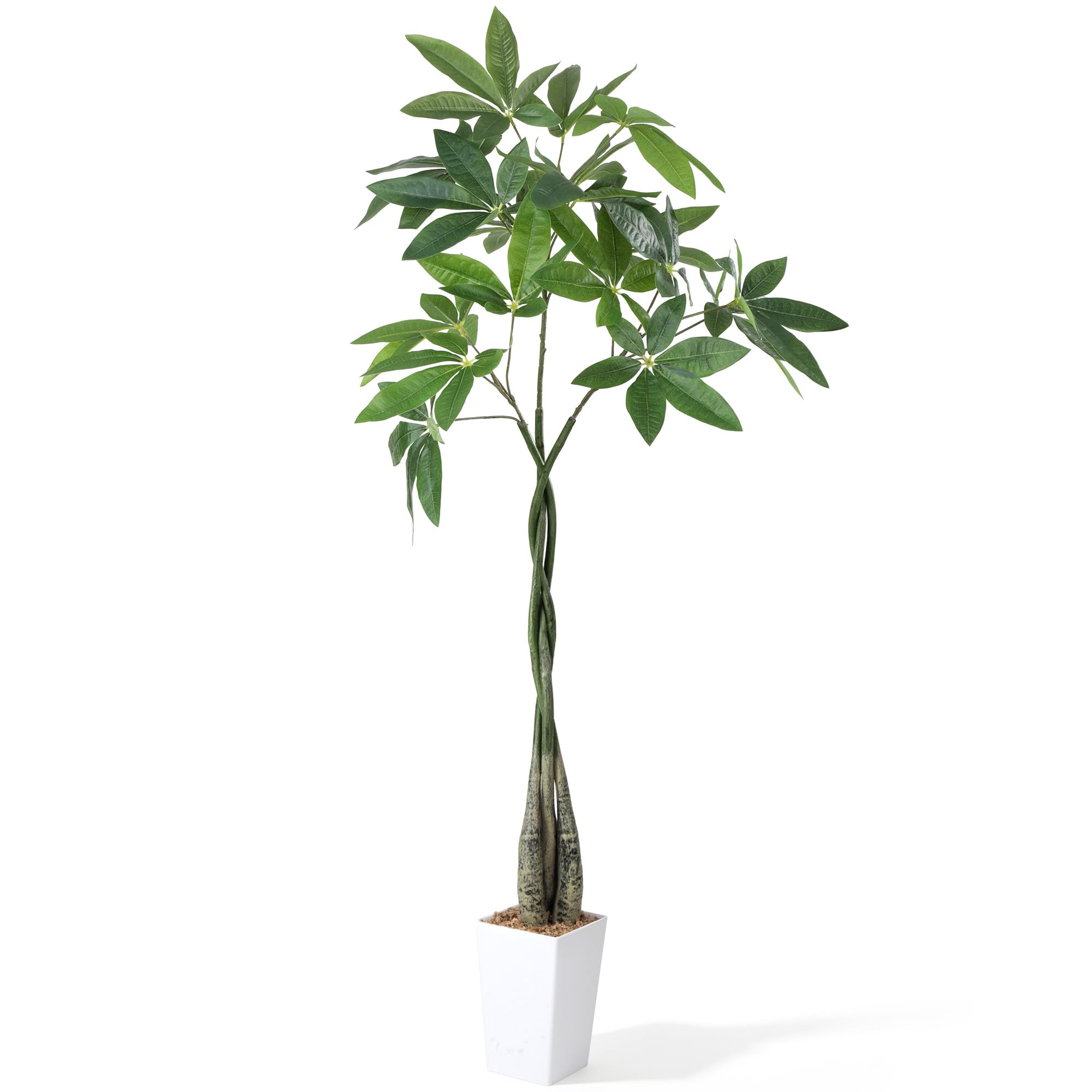 Amazon｜人工観葉植物 フェイクグリーン 観葉植物 【パキラ 高さ120CM