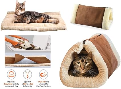 kitten accessories amazon