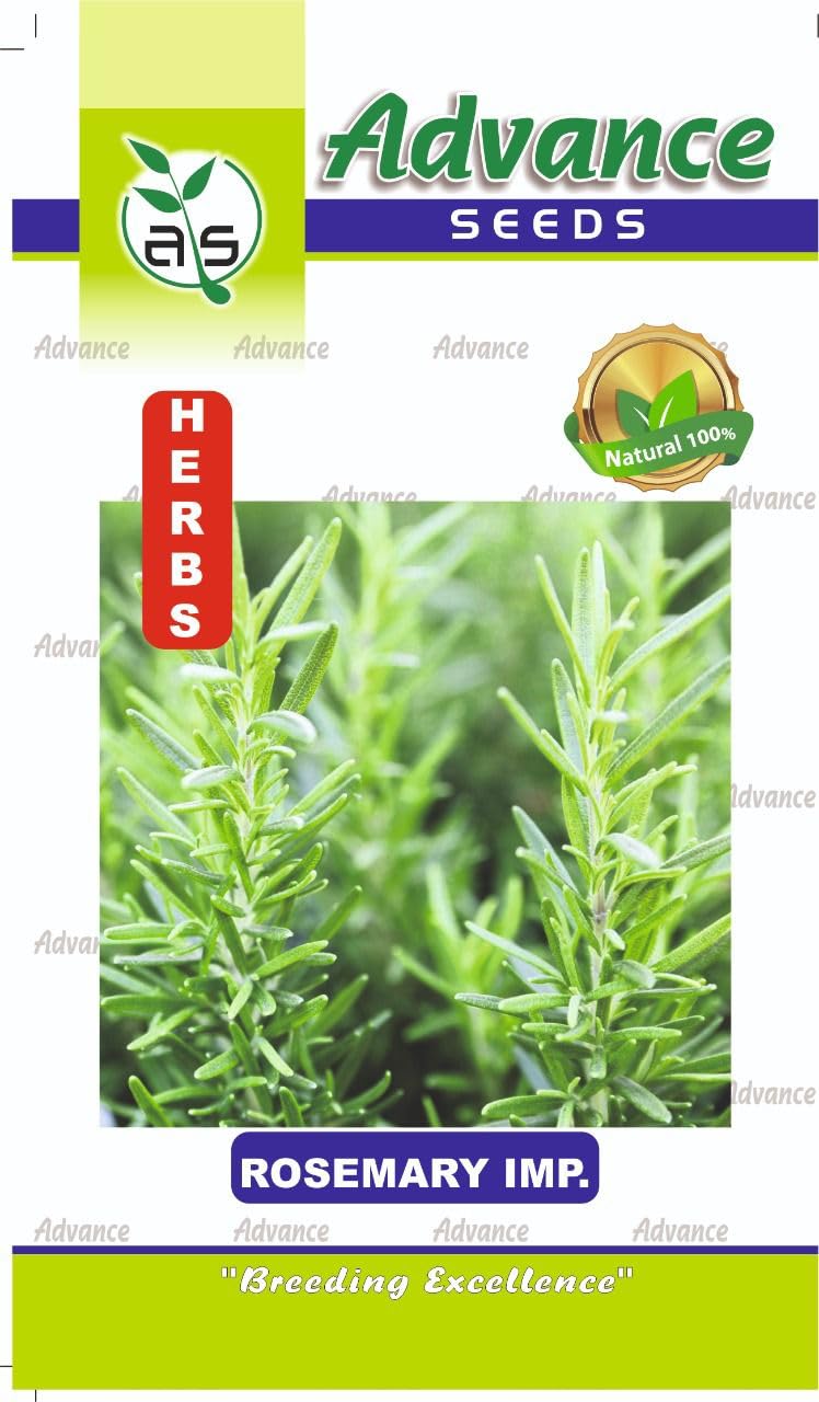 Rosemary Herb Seeds (Pack of 2) by UGROW INDIA (B09RPZ7BS4) Amazon Price History, Amazon Price Tracker