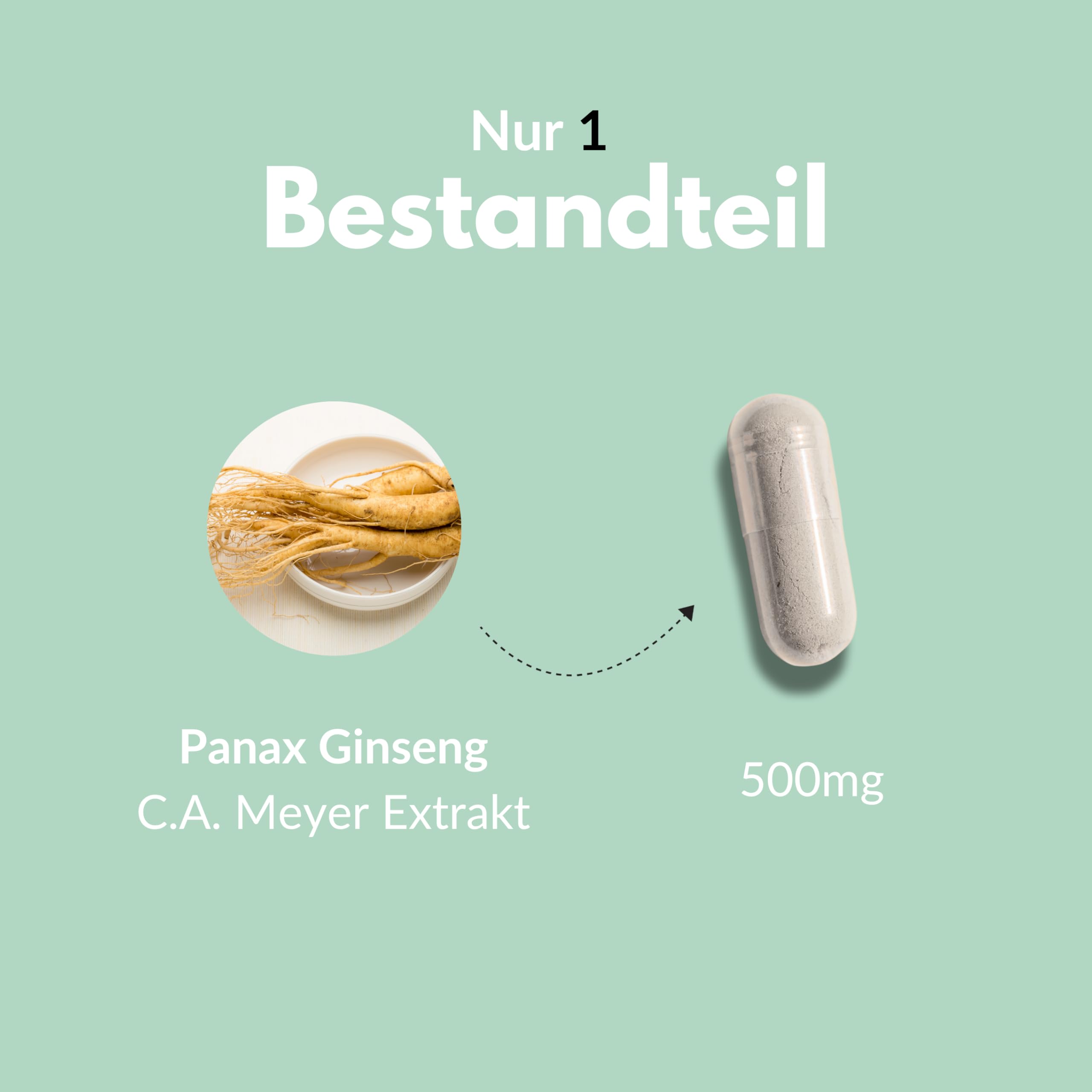 Vitalplant® Panax Ginseng C.A. Meyer im Braunglas | 500mg koreanischer roter Ginseng Extrakt mit 5% Ginsenoside | Hergestellt in pharmazeutischer Manufaktur in Deutschland | 120 vegane Kapseln