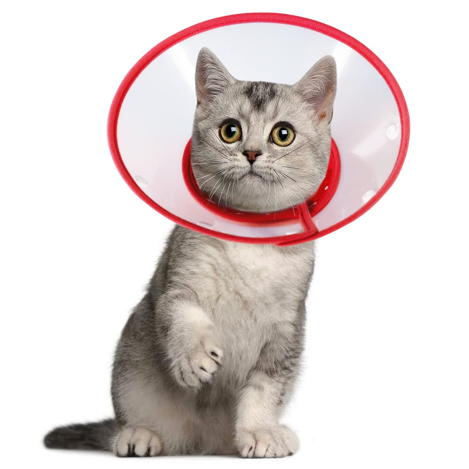 Vivifying Haustier Halskrause, Verstellbar von 17-23 cm Leichtgewicht Schutzkragen für Welpen, Kleine Hunde und Katzen