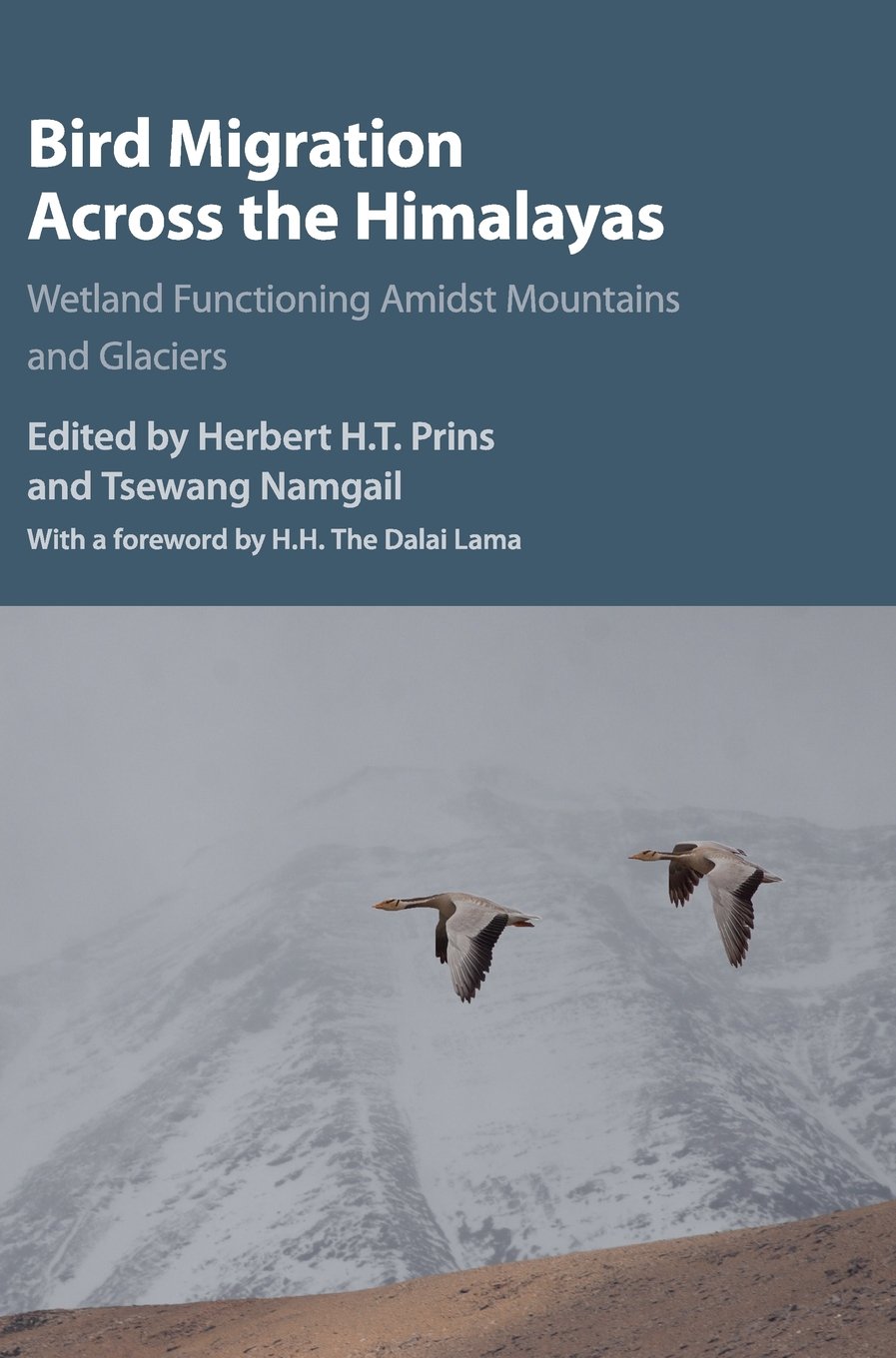 Bird Migration across the Himalayas: Wetland Functioning amidst Mountains and Glaciers