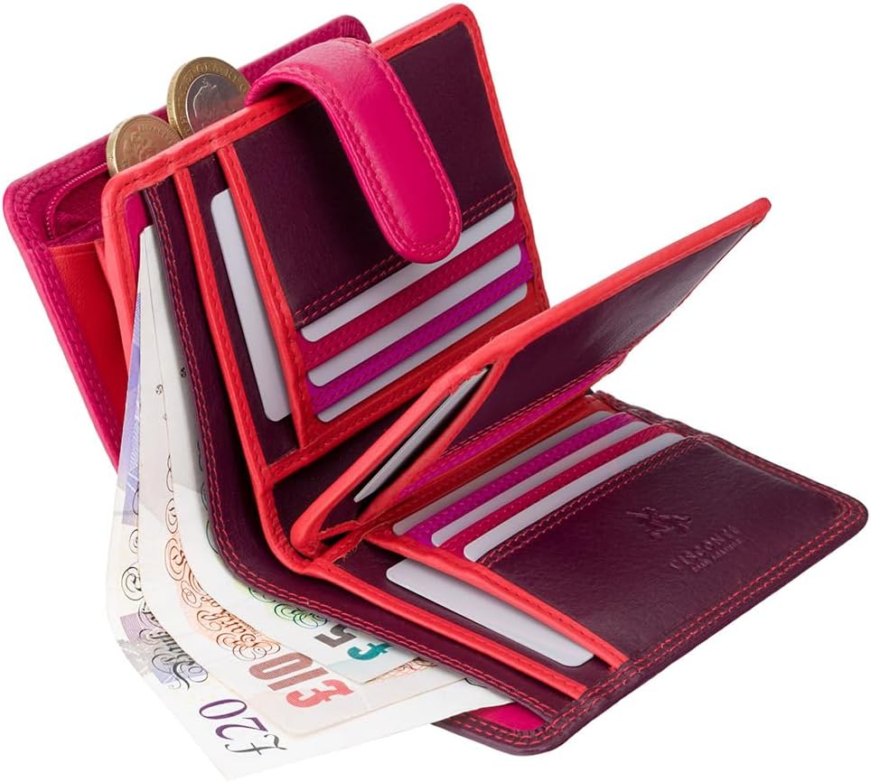 Visconti RB51 Multi Colored Large Bifold Plus Soft Leather Ladies Wallet & Purse (Plum Multi)