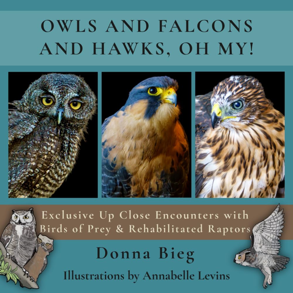 OWLS AND HAWKS AND FALCONS, OH MY!: Exclusive Up Close Encounters with Birds of Prey & Rehabilitated Raptors