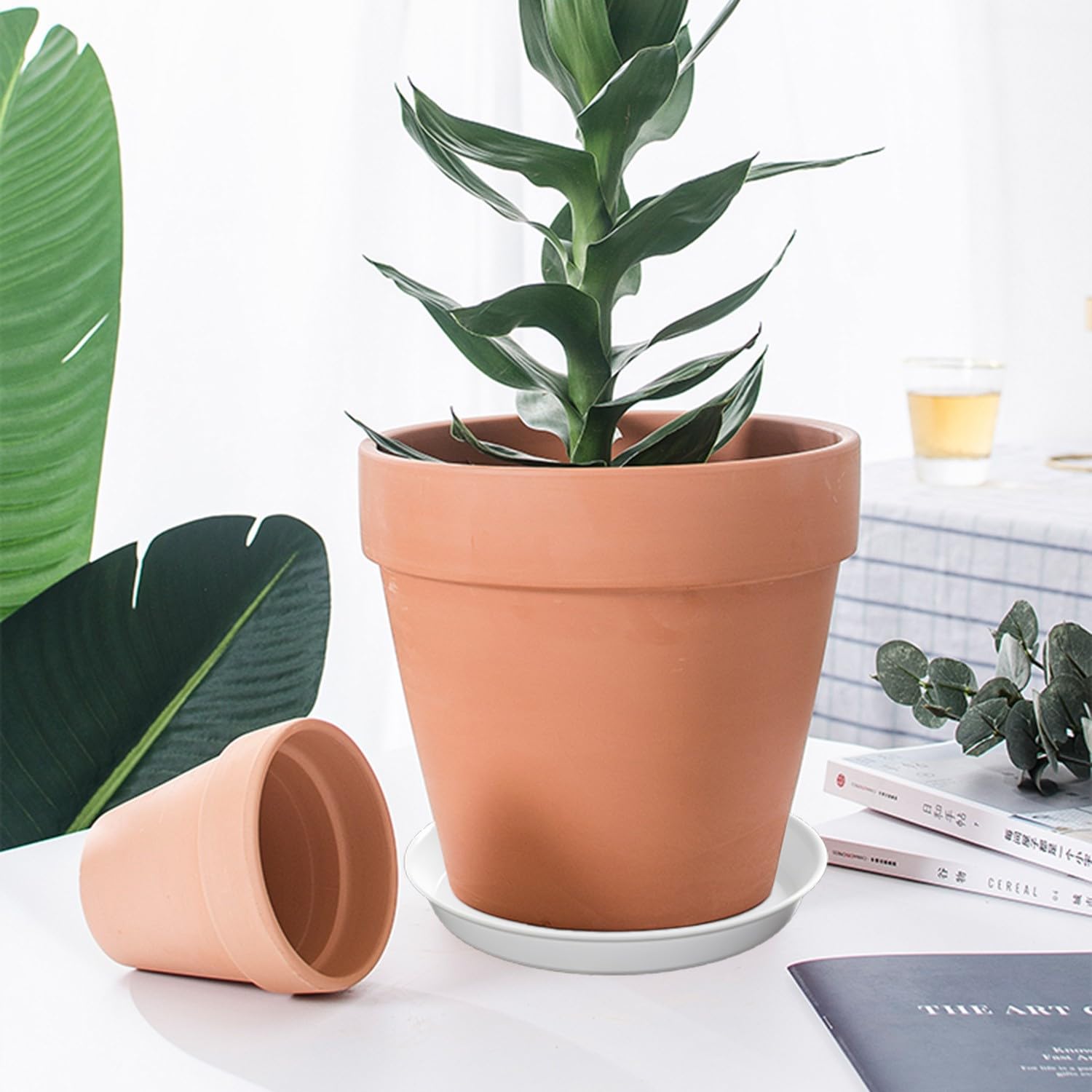Soucoupe Pot Fleur 26,9CM Transparentes En Plastique Pots De Fleurs Lot De 10 Soucoupes Pour Plantes Interieur Et Exterieur 98991909 Soucoupe Pot Fleur 26,9CM Transparentes En Plastique Pots De Fleurs Lot De 10 Soucoupes Pour Plantes Interieur Et Exterieur 98991909