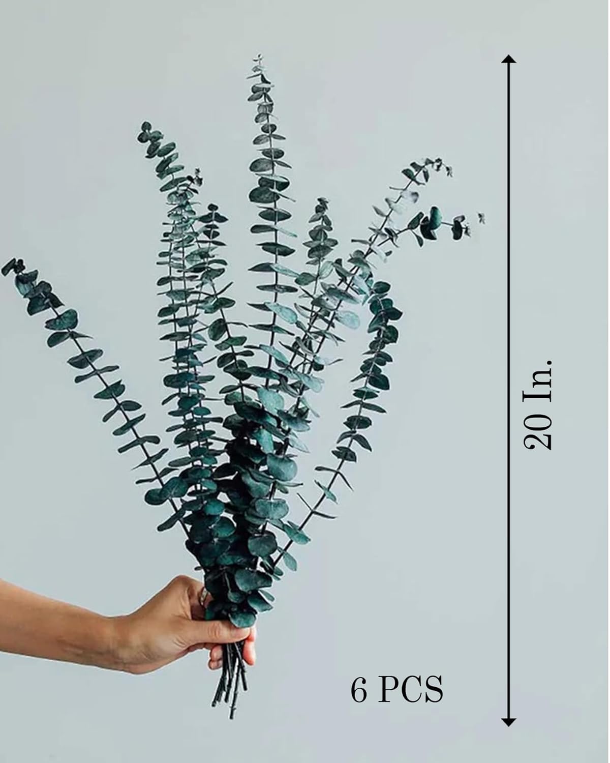 ROYAL SAPPHIRE 6 Pcs Preserved Dried Eucalyptus Stems, 17" Natural Branches for Shower Hanging, Real Dried Flowers for Vase Filler, Fresh Eucalyptus Leaves, Garland, Wedding, DIY (Green-6Pcs) 3