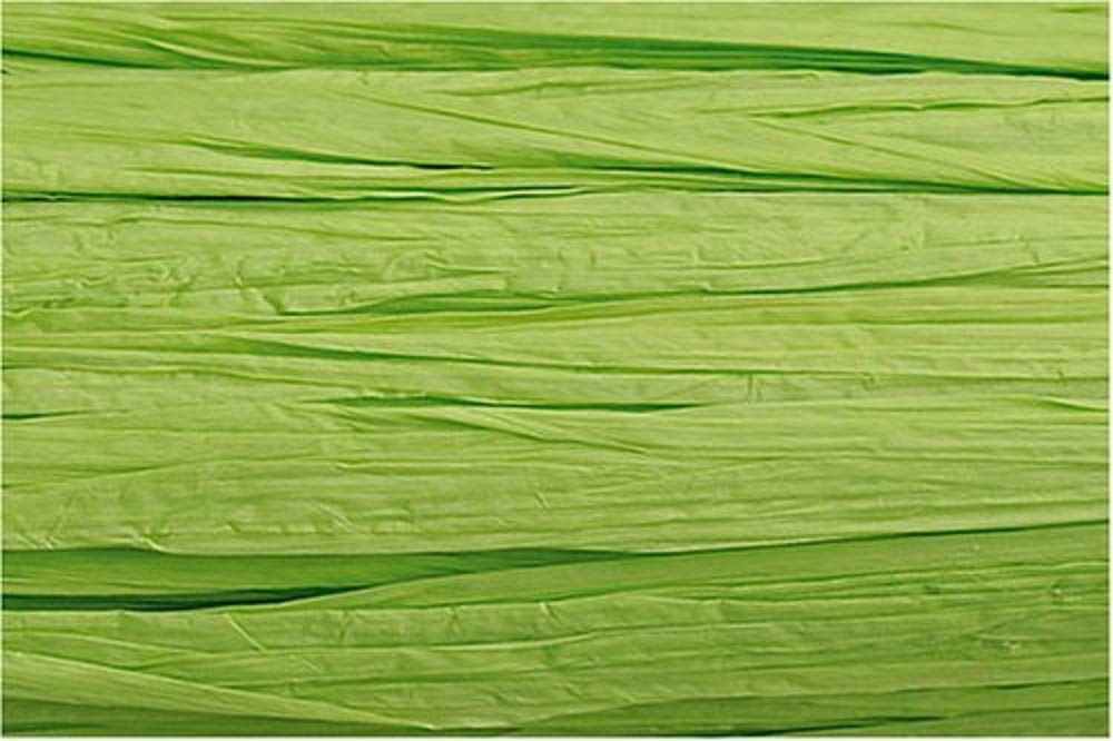 Knorr Prandell Edelbast Viscose 30 m matt lindgrün