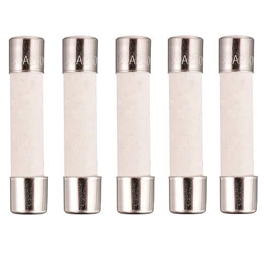 BOJACK Microwave Fuse 20a Ceramic Fuse 20 Amp 250V Slow-Blow Compatible and Universal Replacement for WB27X10388 and Other Microwaves