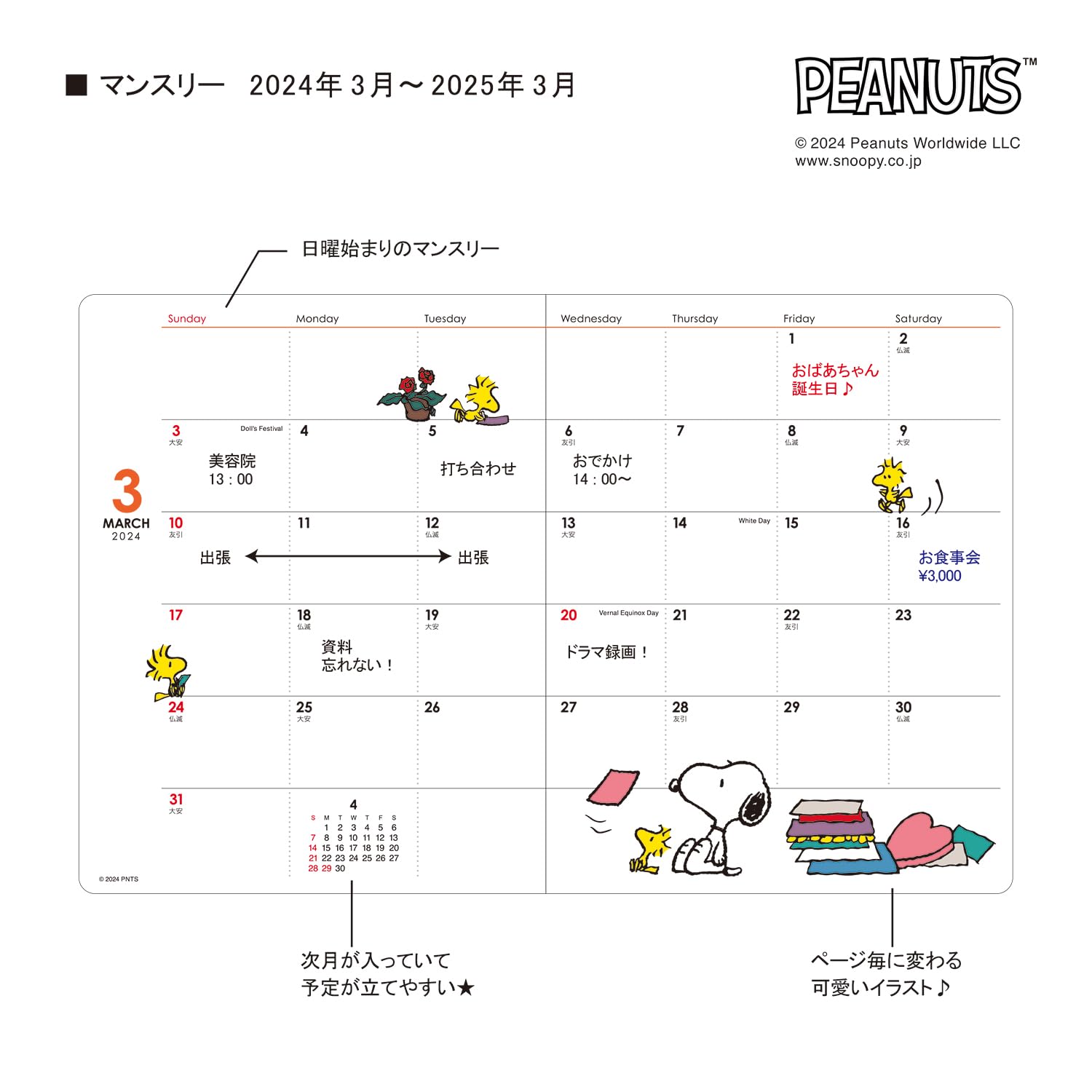 Amazon.co.jp: Square Snoopy Notebook, Starts March 2024, A6