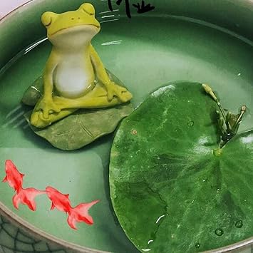 Mini Cute Frog and Turtle Fairy Garden Landscape Flower Pot Dollhouse Decoration (Meditationb)