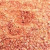 Carolina BBQ Seasoning-Organic Spice Rub 8 Ounce