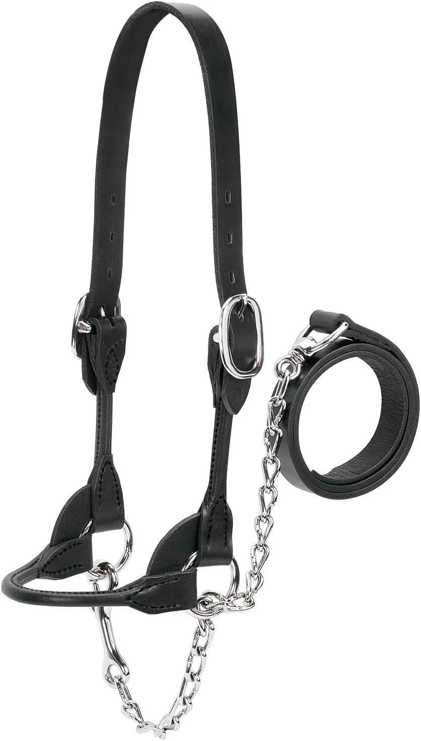Weaver Leather Dairy/Beef Rounded Show Halter