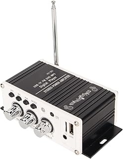 Digital Power Amplifier 100‑240V DC12V Lossless Music Playback HiFi Stereo 2 Output Channels 20Wx2 Mini Home Power Amplifier (US Plug)