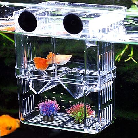 Aquarium Fish Breeding Box, NETUEM Acrylic Double Layer Fish Isolation Box/Baby Fish Hatchery/Fry Breeder Box for Guppy,Tropical Fish, Floating Fish Incubator Tank Divider with Suction Cups, L size Cover