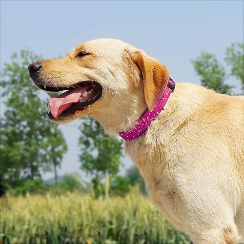 Miniatura 3 de TDTOK Collar básico para perro brillante, cómodo y duradero para perros pequeños, medianos y grandes con hebilla de plástico ecológica, collares de