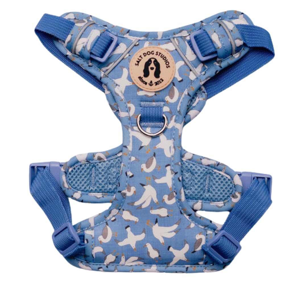 Coastal Dog Harness, Adjustable Mesh Harness for small, medium & Large Dogs, Lightweight Comfortable Harness with Front & Back D-Rings by Salt Dog Studios (Seagull, Medium)