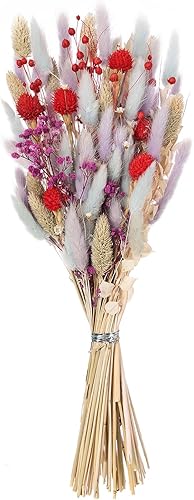 Miniatura 6 de Botius Ramo de flores secas mixtas naturales de 17 pulgadas, hierba de cola de conejo, aliento de bebé, crisantemo, Phalarit Canariensis, avena para