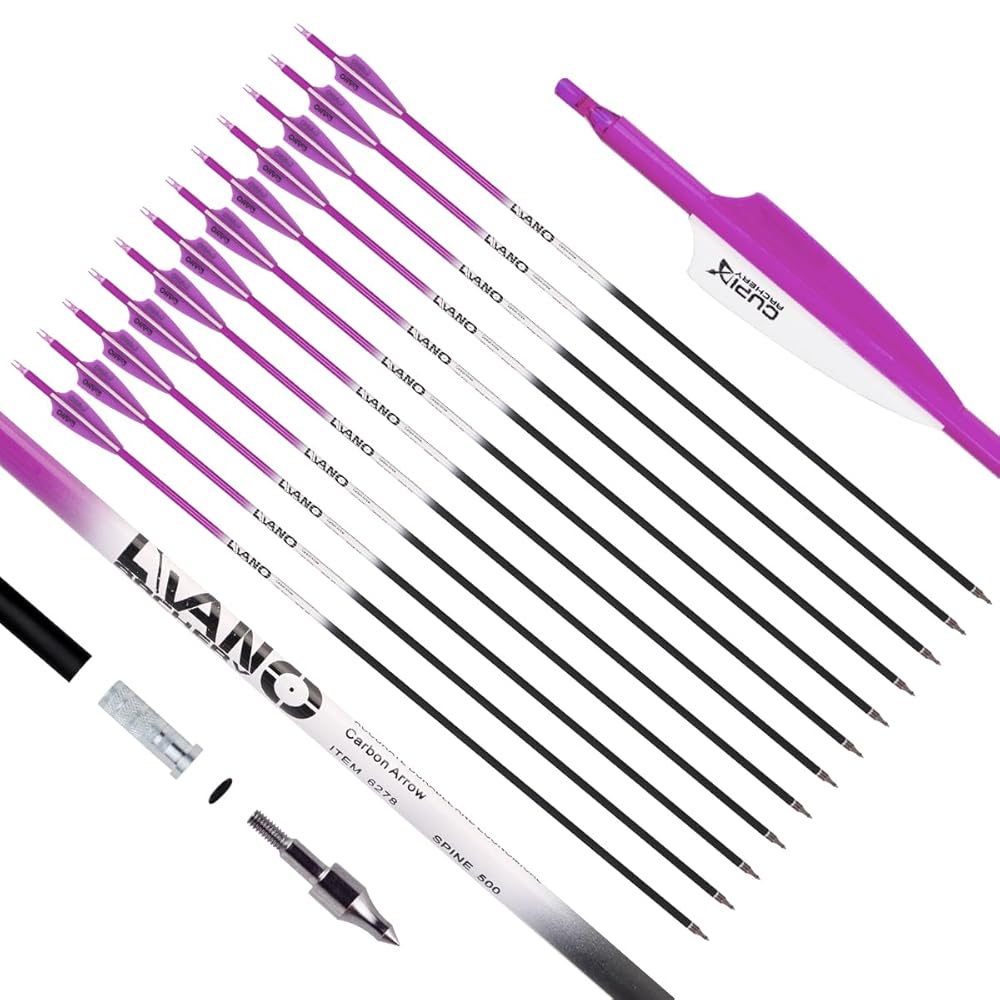 LWANO Carbon Arrow Archery 30inch Hunting Target Practice Arrows for Compound & Recurve Bow Spine 500 with Removable Tips (Pack of 12) (Purple, 31Inch)