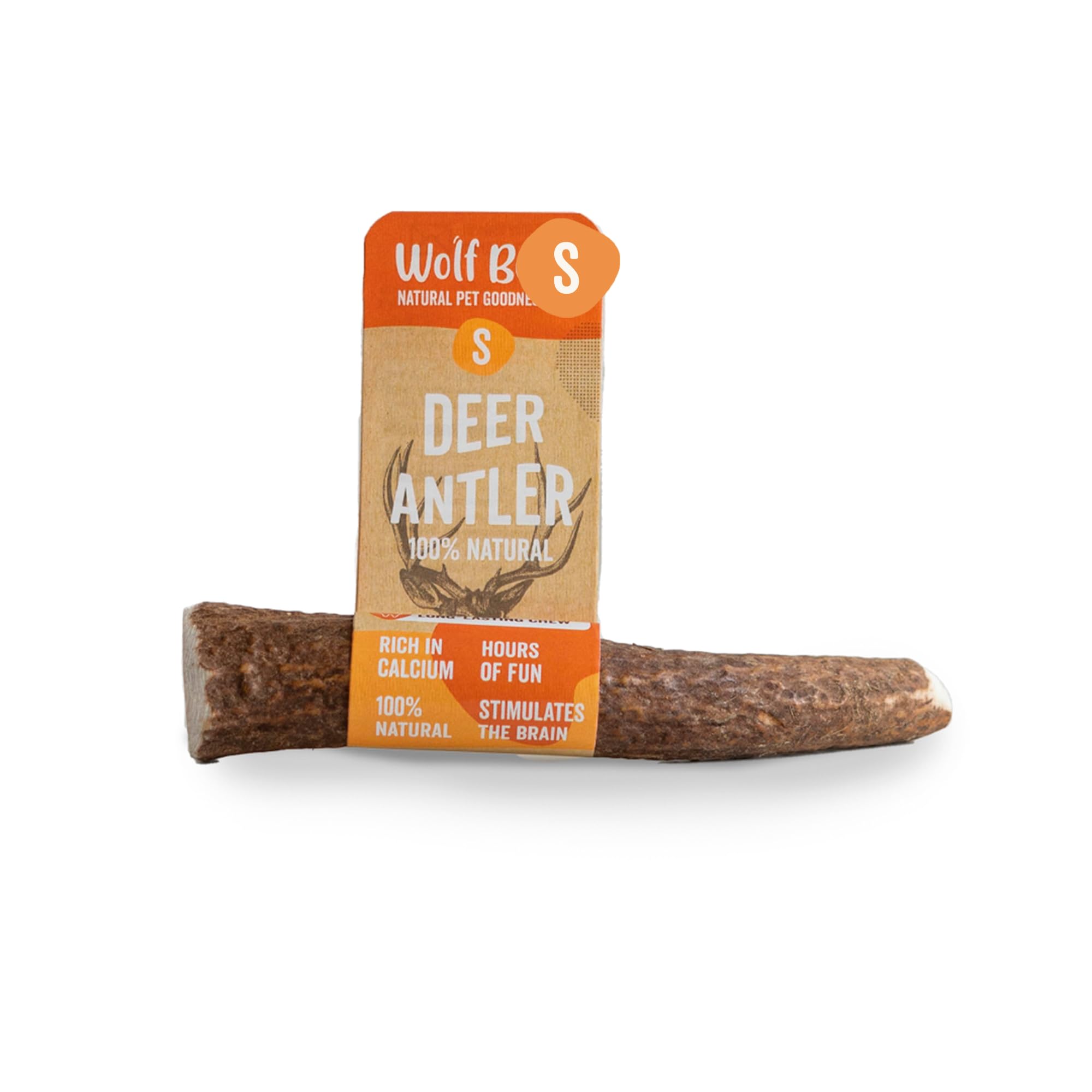 Wolf Belly - Mordedor Asta de Ciervo para Perro (Talla S) Mordedor Perro Resistente 100% Natural, Juguete Perro Morder, Calma Estrés y Ansiedad, Reduce Sarro y Placa, Cuernos de Ciervo para Perros