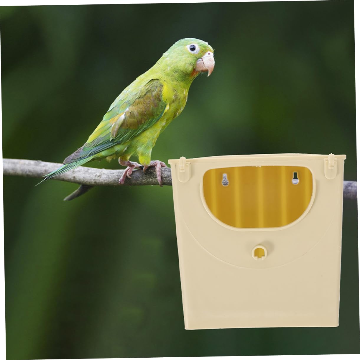 BESPORTBLE 15 Piezas Caja de cría de Aves Caja de Nido de Aves pequeñas Caja de Nido de Aves Tropicales Jaula para Loros Nido para Dormir Nido de pájaros de plástico el plastico