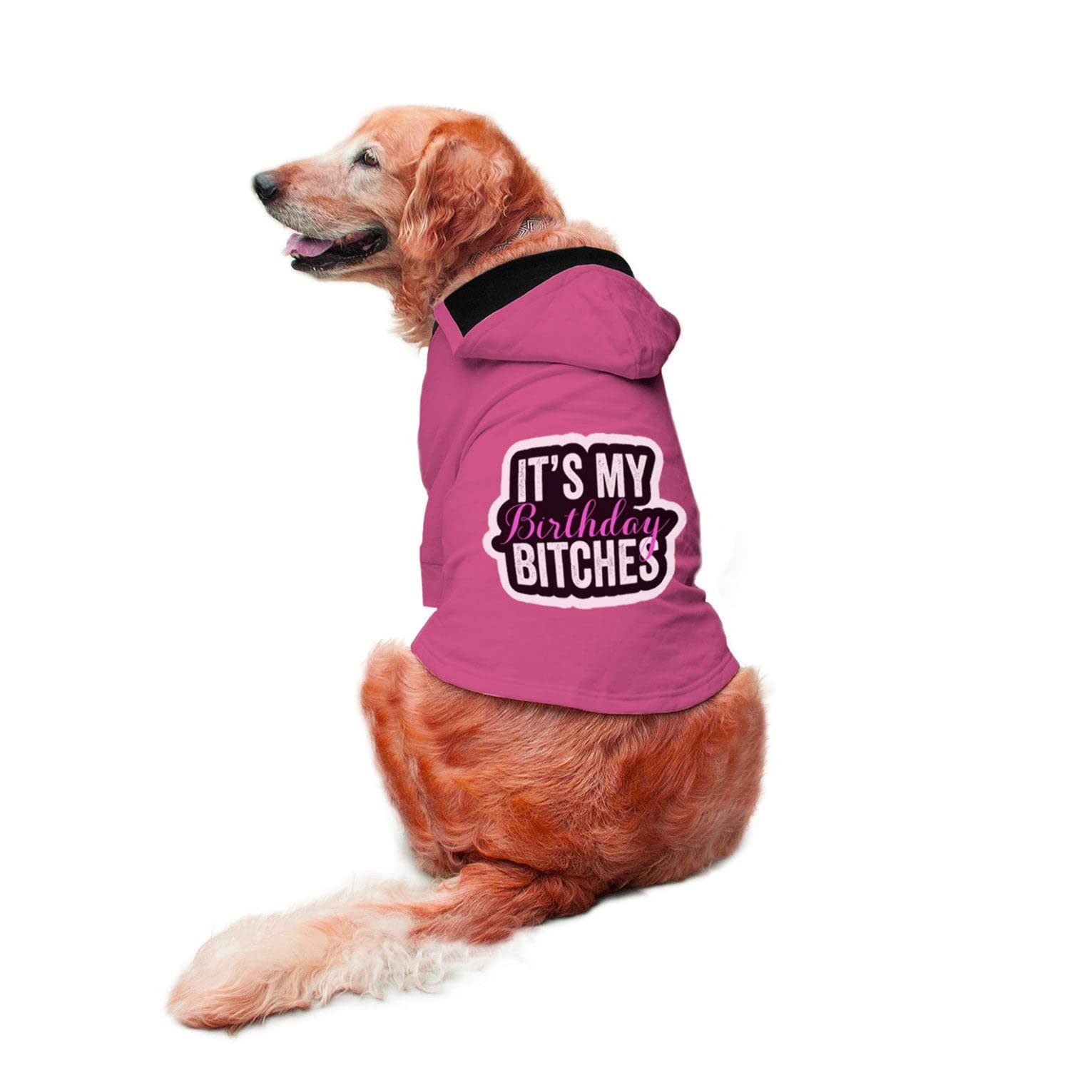 Ruse Its My Birthday Bitches Printed Full Sleeves Dog Autumn Winter Hoodie Jacket/Apparel/Clothes/Jackets Gift for Dogs.(Pink/S) (B09J5998LS) Amazon Price History, Amazon Price Tracker
