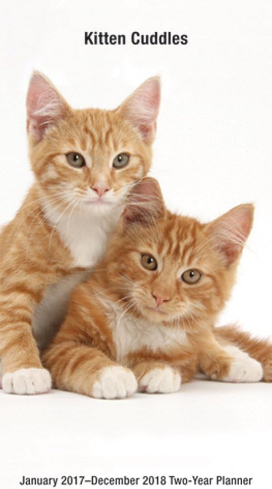 2017 - 2018 Kitten Cuddles 2-Year Pocket Planner Calendar