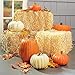FloraCraft Straw Bale 12 Inch x 12 Inch x 24 Inch Natural