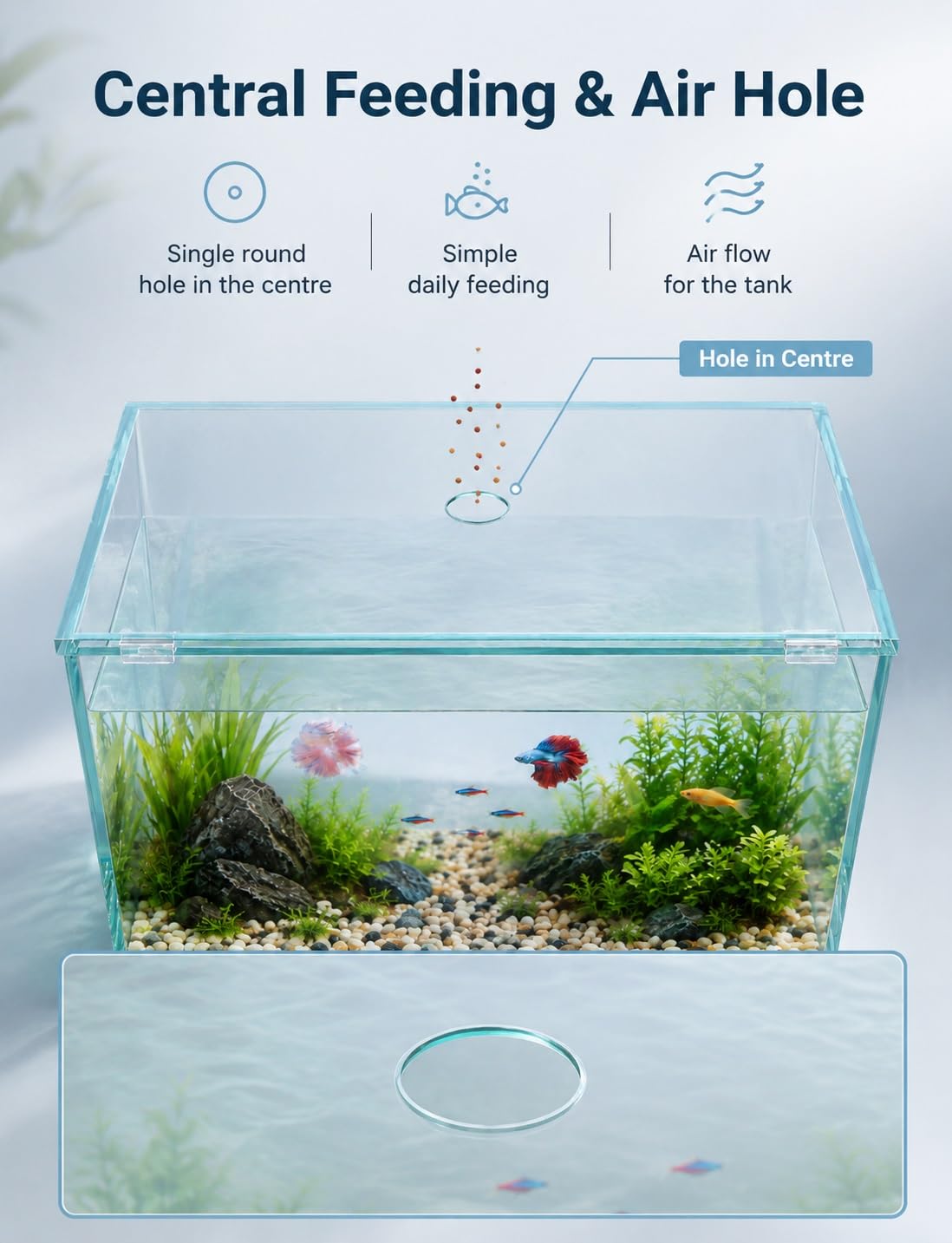 Tapa de Acuario Vidrio Templado