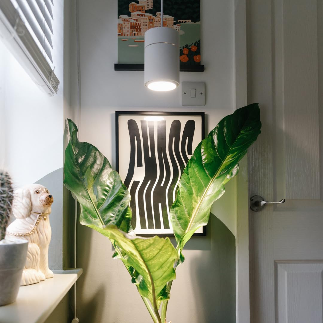 Claria - Lampada LED per piante da appartamento