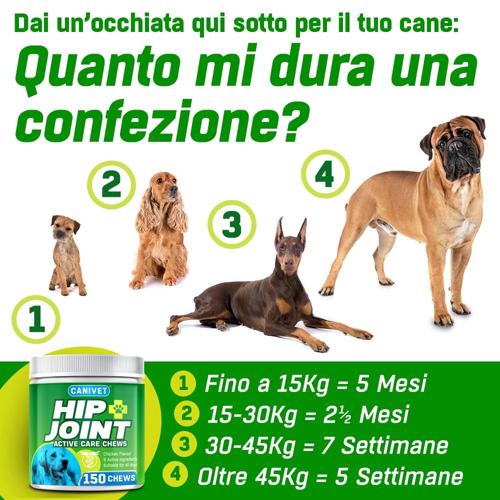 Hip + Joint Cani Articolazioni | 150 x Masticabili | con Cozza Verde, Glucosamina, Condroitina, Olio Canapa, MSM, Acido Ialuronico, Manganese | Integratore Articolazioni Cane Gusto Pollo