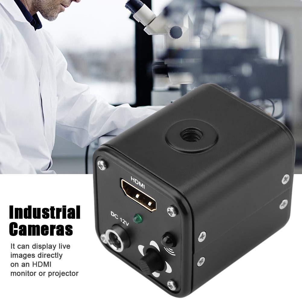 Cámaras Industriales del Microscopio 60F / S, Cámara del Microscopio de La Salida de 1080P HDMI(EU Plug)