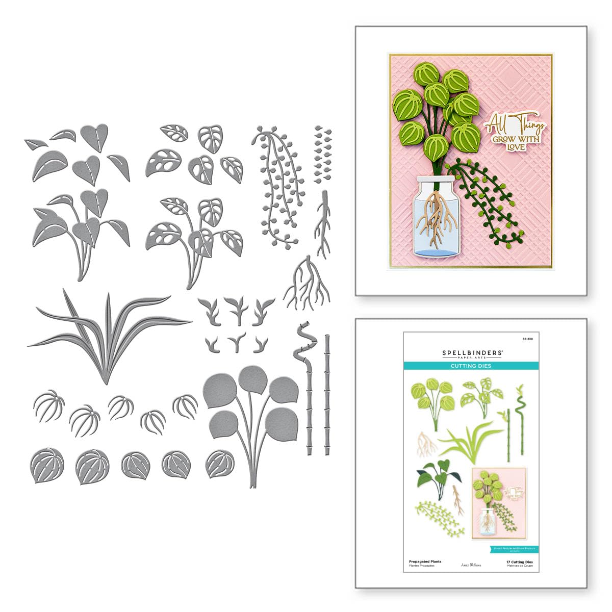 Spellbinders S6-230 Propagated Plants Etched Dies from The Propagation Garden Collection by Annie Williams - Image 2