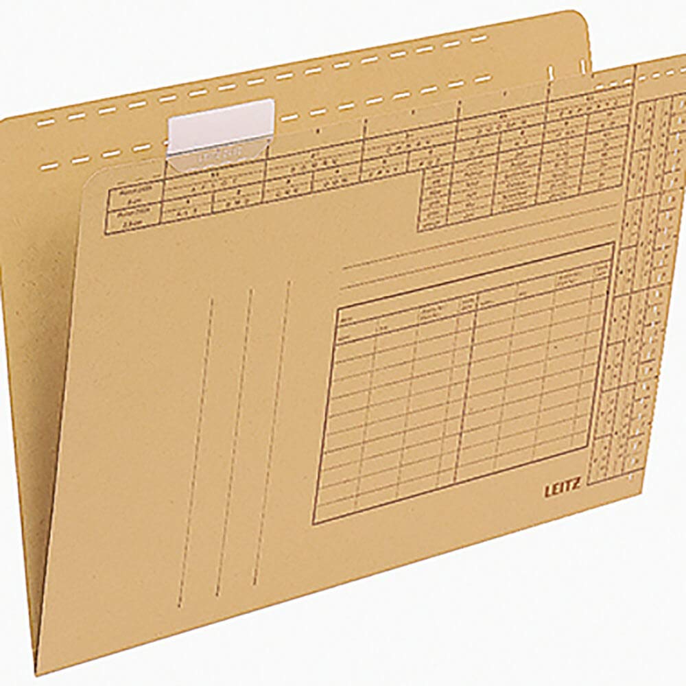 Leitz Einstellmappen 2435/2435-00-00 A4 natur 250g/qm Inh.100