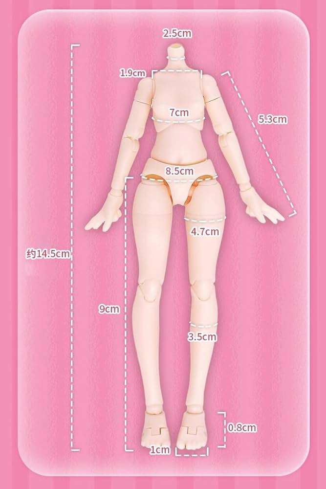 Amazon.co.jp: Eve Lynna 夢の楽園シリーズ ブラインドボックス