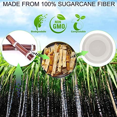 BESELER 100Pack Disposable Paper Bowls, 350 ml Biodegradable and Compostable Bagasse Bowls, White Sugarcane Bowls for Picnics, BBQ and Parties Bowls