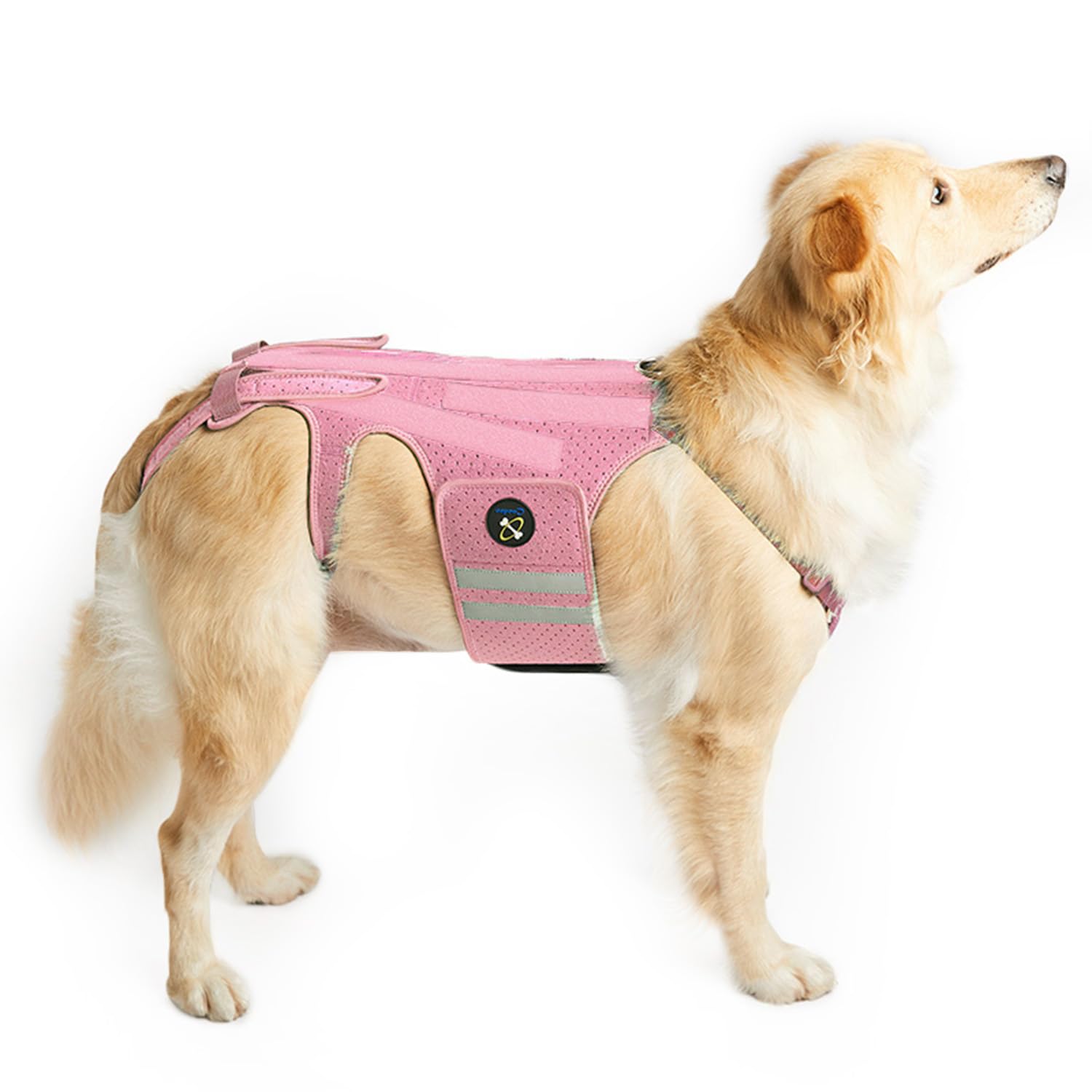 Photo 1 of Coodeo Dog Back Brace for Dogs Arthritis, Pet Back Bracer for IVDD, Back Protector Helps Pain Relief, Surgical Recovery and Rehabilitation, Dogs Back Disease Prevention. (Pink,X-Large)
