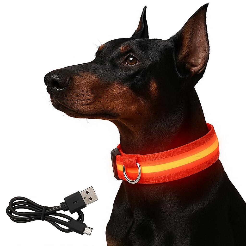 Light Up Dog Collar - LED Dog Collar Light Rechargeable - Illuminated LED Collars for Dogs - Glow in the Dark, Luminous Design - Flashing Light Up Collar for Safety - USB Chargeable