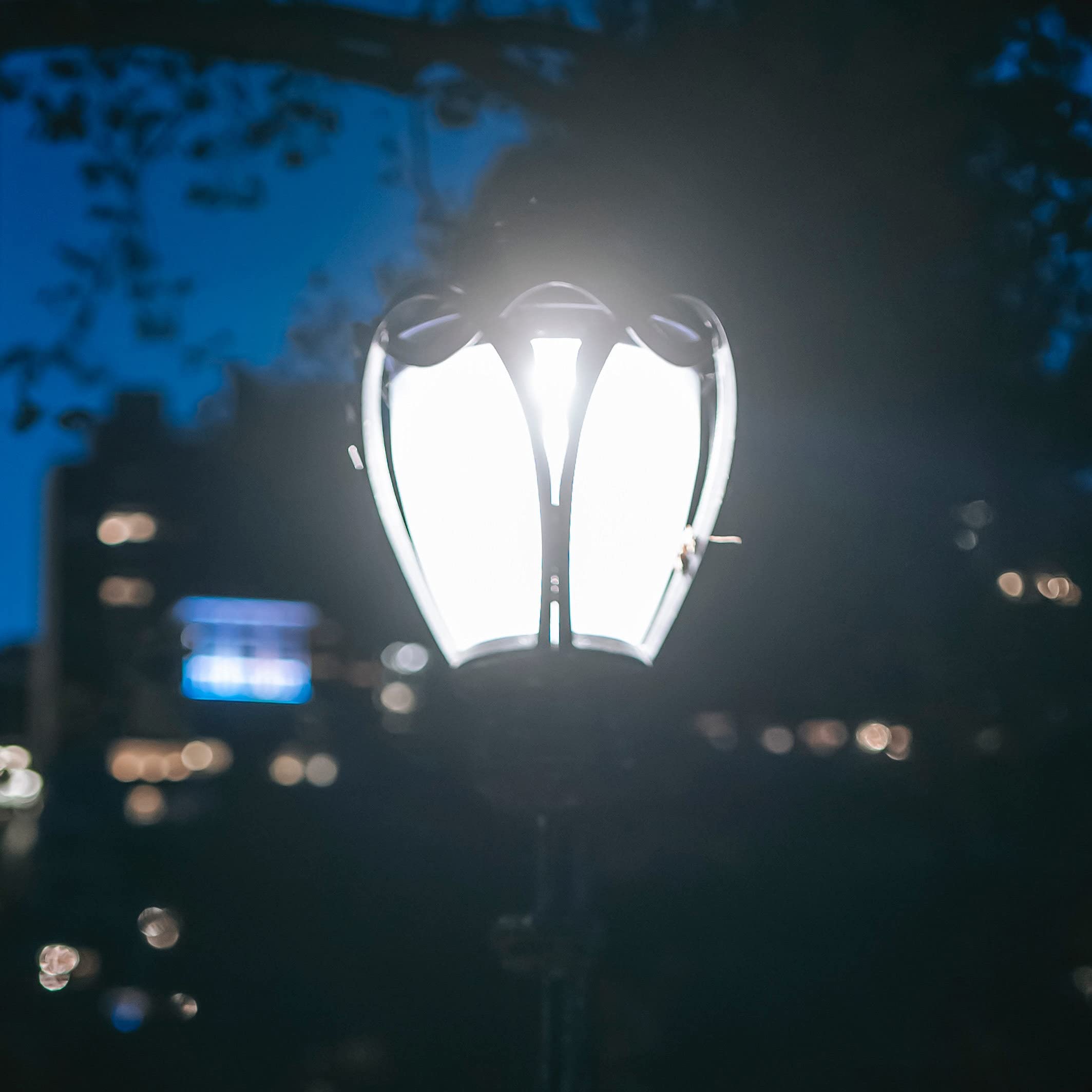 Bombillas led Paquete de 10 Bombillas Vela filamento Regulable E14, 6000K, Blanco frío, 4W, C35, Tornillo Edison pequeño, Equivalente a incandescente 40W