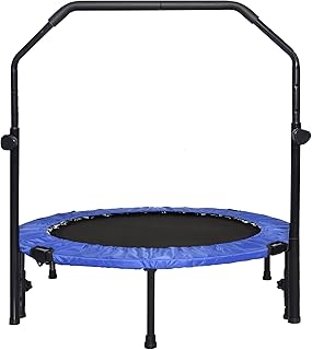 SKY LAND 40" Trampoline for Adults & Kids | Indoor & Outdoor Rebounder with Adjustable Foam Handle & Safety Pad | Quiet & Stable Mini Trampoline for Fitness