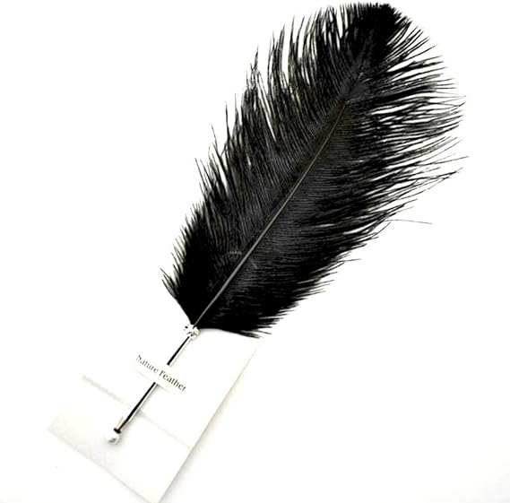 Ostrich Feather Ballpoint Pen-Writing Gift Pen Quill Pen Wedding Reception Pen (Black)