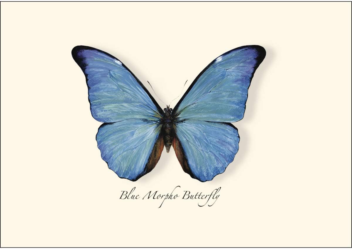 Earth Sky + Water - Blue Morpho Butterfly Notecard Set - 8 Blank Cards with Envelopes - Image 2