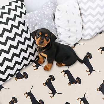 Amazon.com: ARTBLANKET Cute Wiener Dog Dachshund Throw Blanket