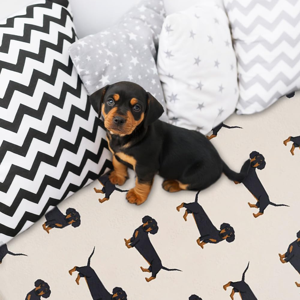 ARTBLANKET Cute Wiener Dog Dachshund Throw Blanket Fannel Fleece