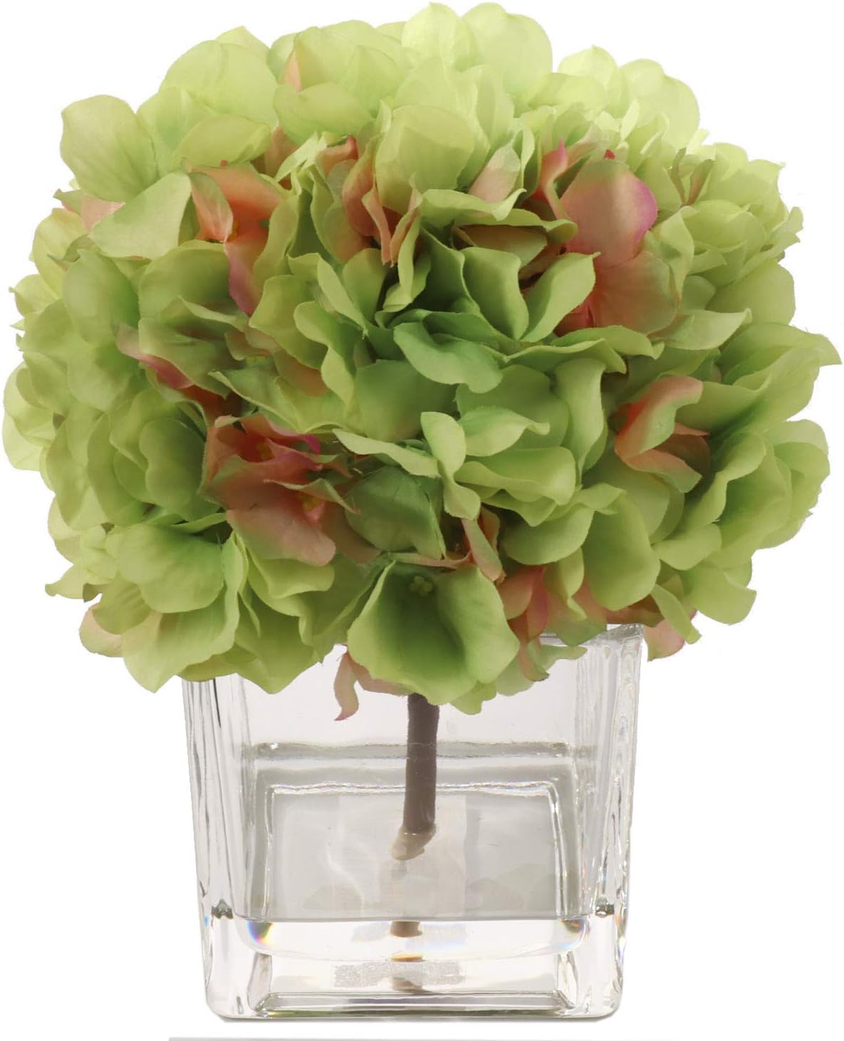 Larksilk Green Hydrangea Flower Arrangement | Square Glass Vase | Water Look | Scratch Resistant Glass | Great Décor